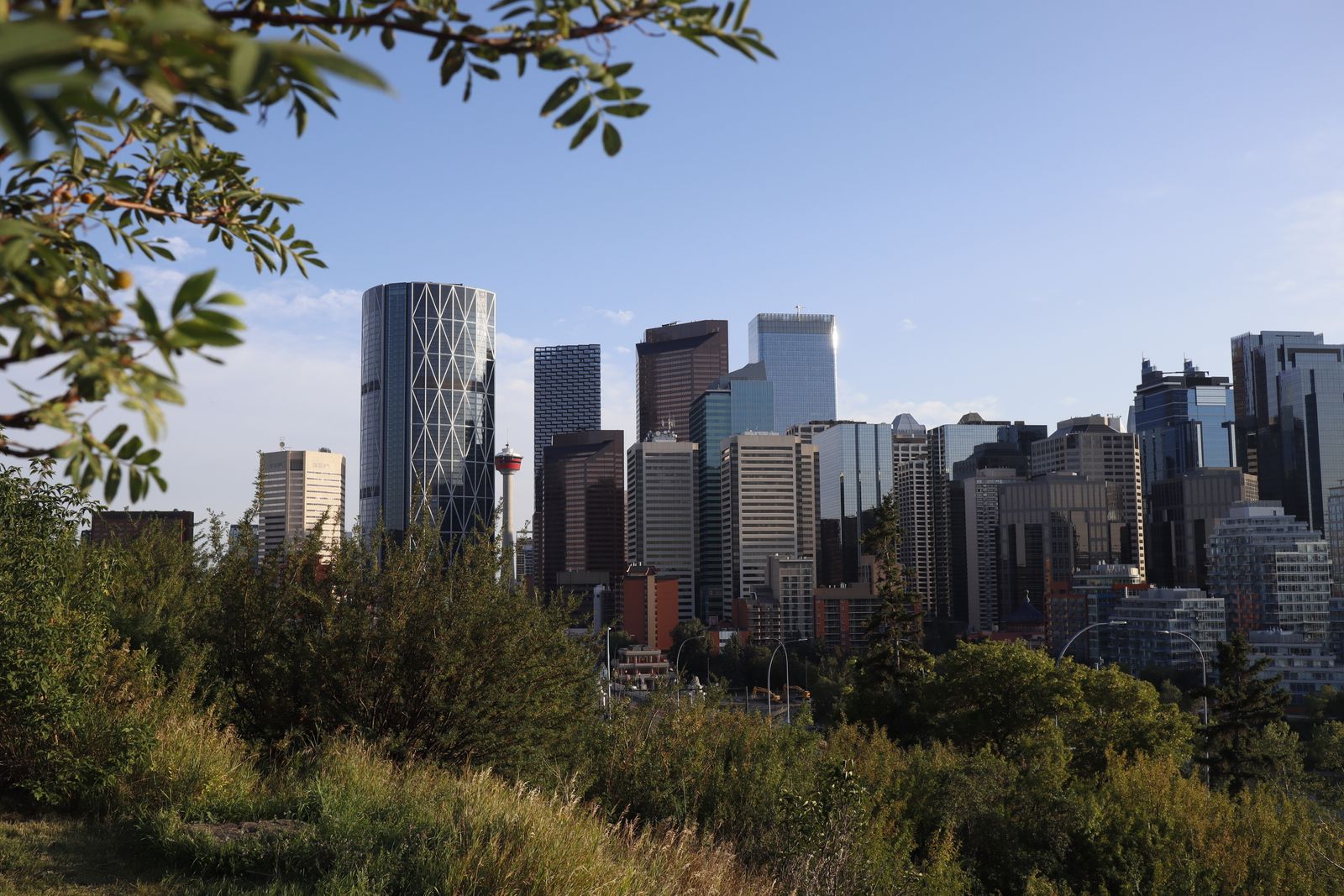 Calgary travel guide