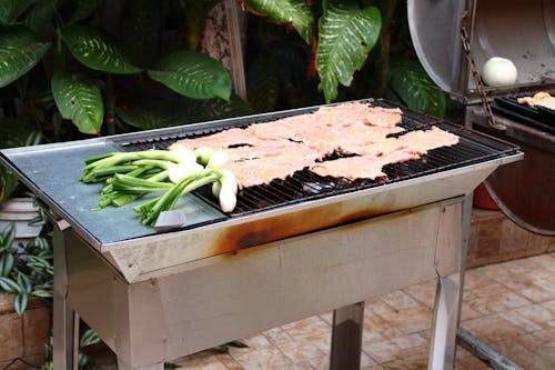 Free stock photo of asada, asado, carne asada Stock Photo