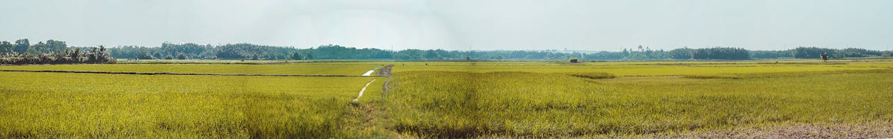 Panoramic Photo of Farm