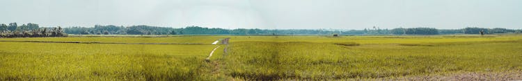 Panoramic Photo Of Farm