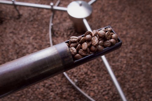 Close Up Shot of Coffee Beans