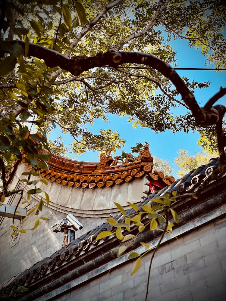 Wooden Traditional Decoration On House Rooftop