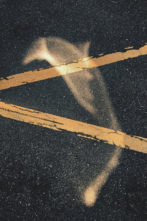 70+ Best Bitumen Photos · 100% Free Download · Pexels Stock Photos