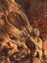 Close-up Shot of a Rock Formation