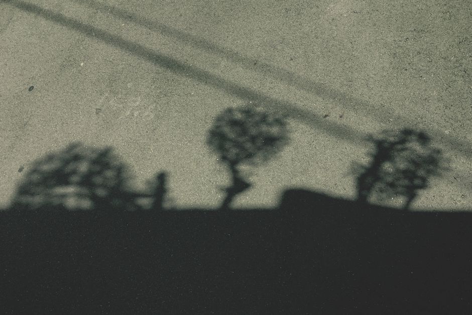Abstract shadows of tree silhouettes on a concrete pavement, creating a unique urban pattern.