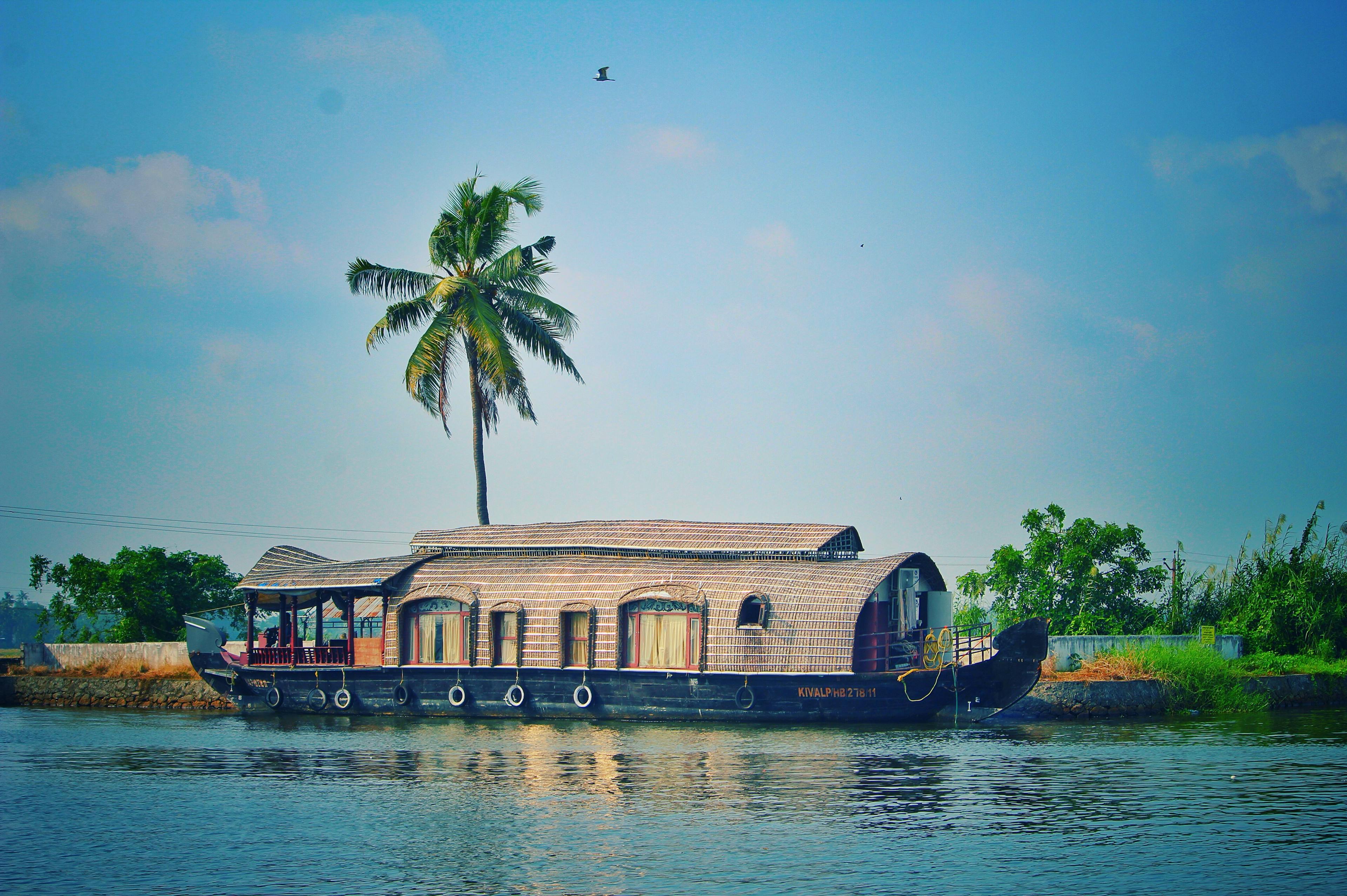 Picturesque view of river with green palms on bank and shabby wooden boathouse under blue sky in tropical countryside