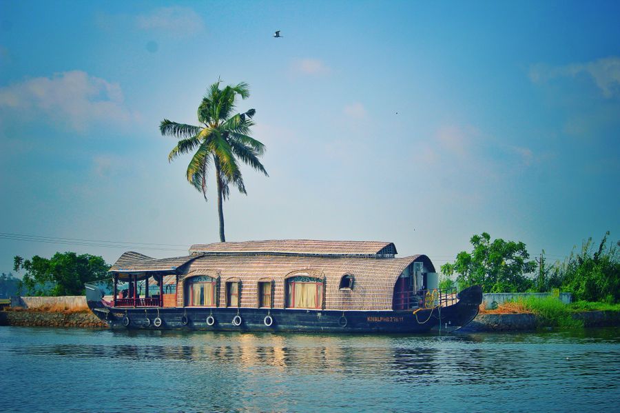 Kerala Backwaters: The Complete Houseboat Experience Guide