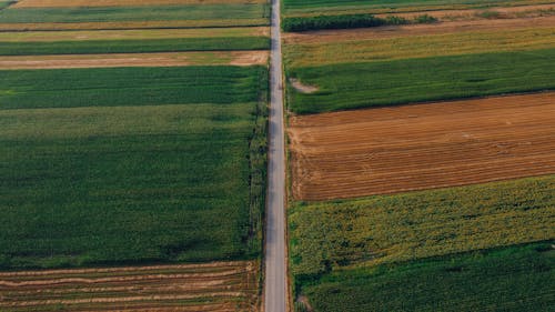 Бесплатное стоковое фото с Аэрофотосъемка, зеленое поле, коричневое поле