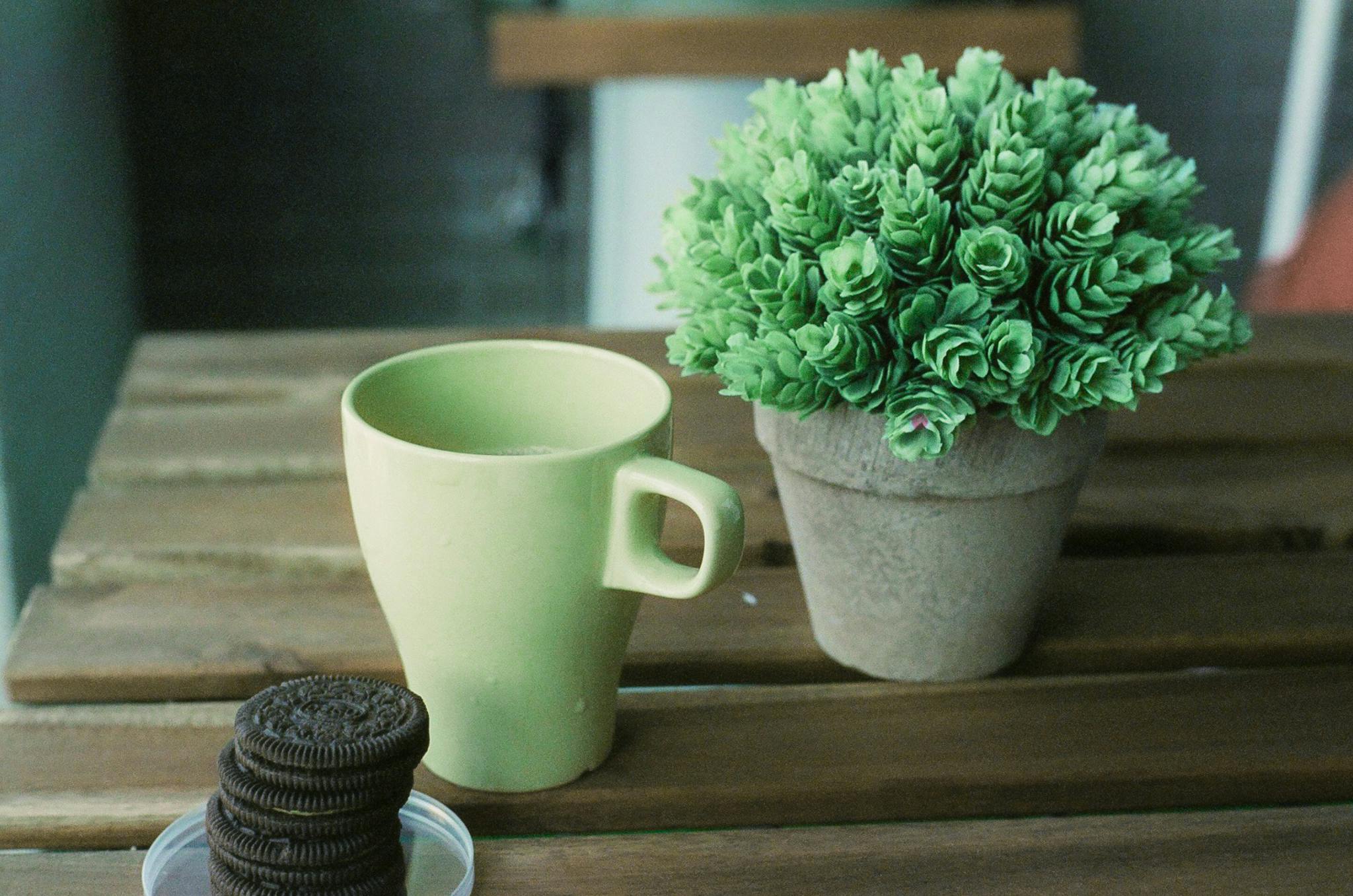 质朴的木桌上放着一个绿色的马克杯和饼干，旁边还有一棵多汁的植物