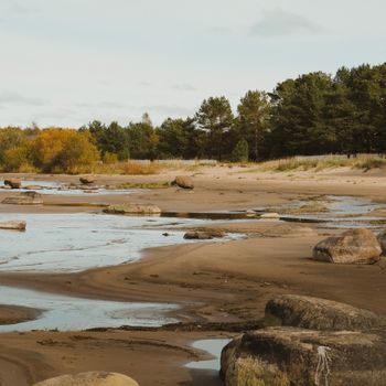 Rangi Saari – JugJugg Jeeyo