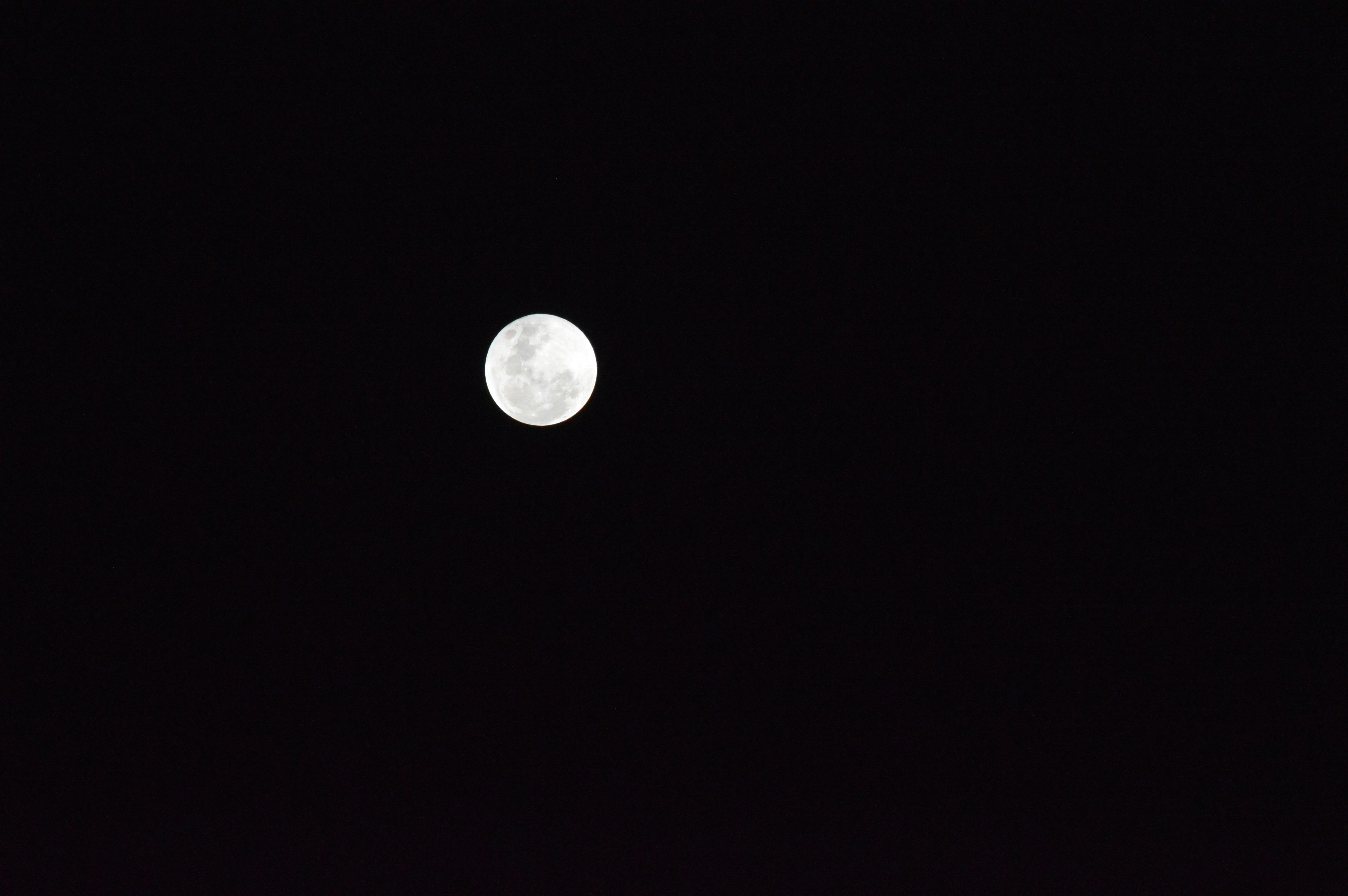 Free stock photo of black, black and white, full moon