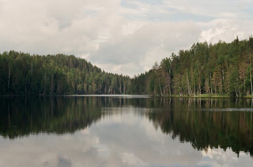 Darmowe zdjęcie z galerii z chmury, drzewa, fotografia krajobrazowa