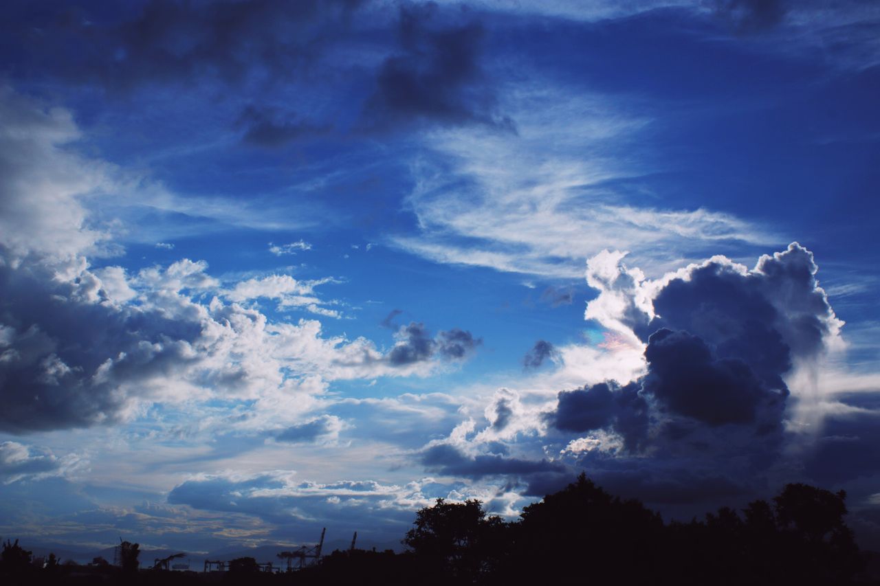 a captivating view of clouds over silhouetted trees against a vivid bl