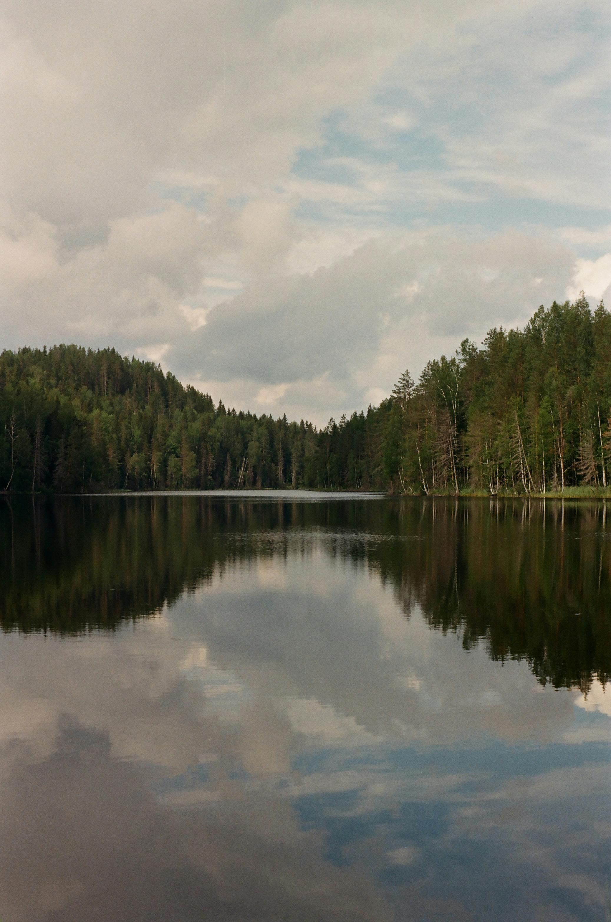 Kostnadsfria Kostnadsfri bild av avlägsen, boreal skog, Europa Stock foto