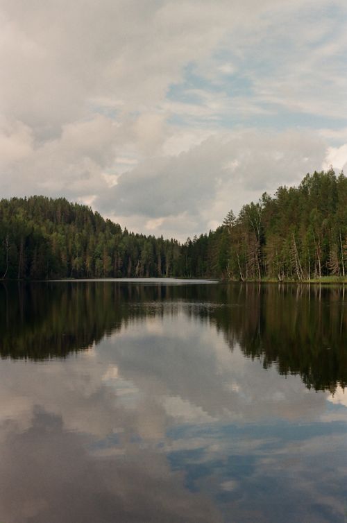 Free A peaceful lake in Karelia, Russia, reflecting lush green trees under a cloudy sky. Stock Photo