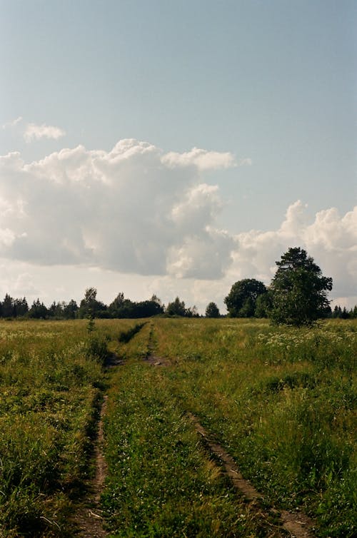 Green Grass Field Under White Clouds