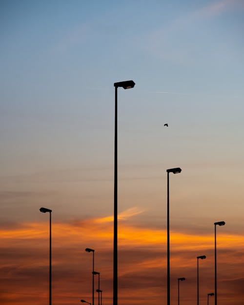 Безкоштовне стокове фото на тему «вертикальні постріл, вуличні ліхтарі, Захід сонця»