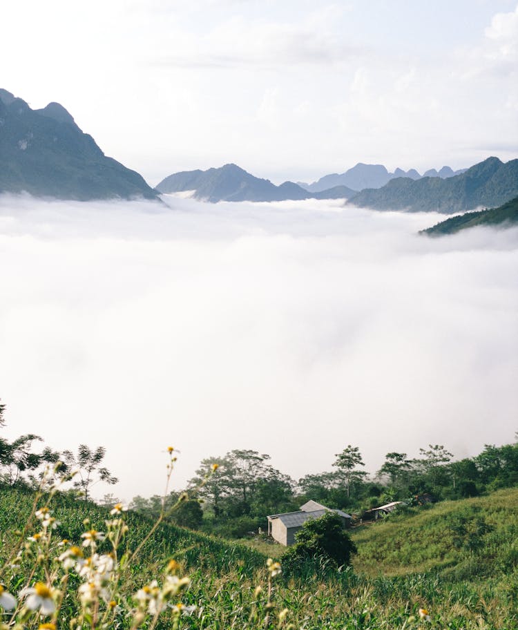 Rocky Mountain Peaks Protruding Above The Clouds Covering The Valley