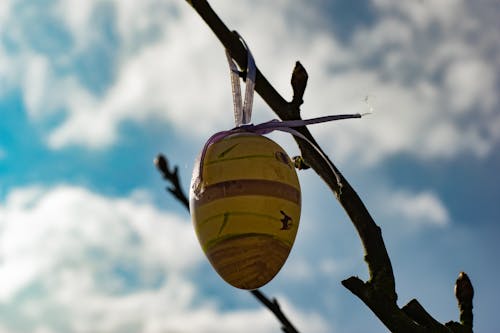 Photos gratuites de ciel bleu, est, œuf de pâques