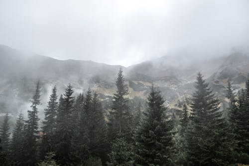 天性, 山, 旅遊目的地 的 免费素材图片