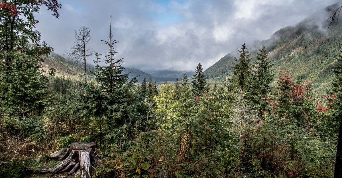 Les plus belles randonnées à faire en pleine nature