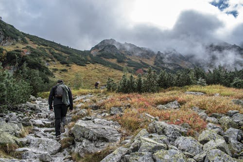 Fotos de stock gratuitas de amante de la naturaleza, aventura, aventurero