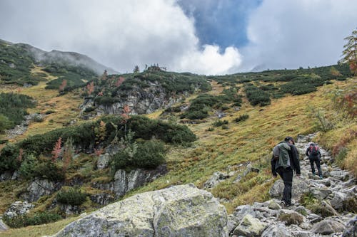 Fotobanka s bezplatnými fotkami na tému cestička, cestovať, cestovatelia