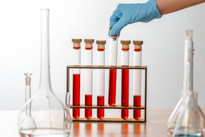 Water quality testing and analysis