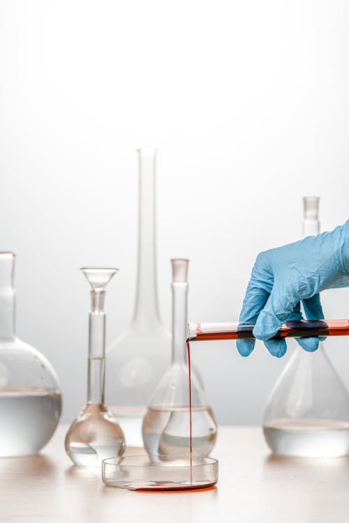 A Person Pouring Liquid on the Petri Dish