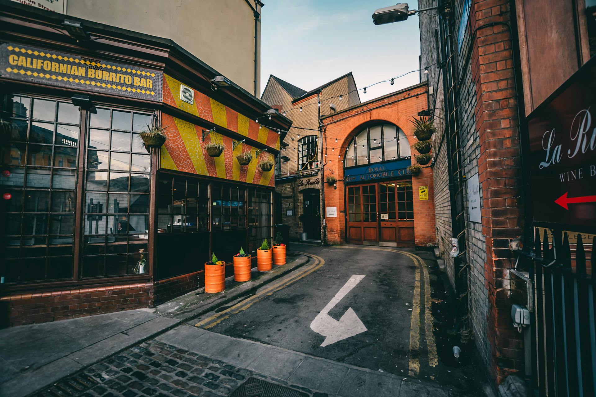 A vibrant alley in Dublin featuring local shops and rustic architecture.