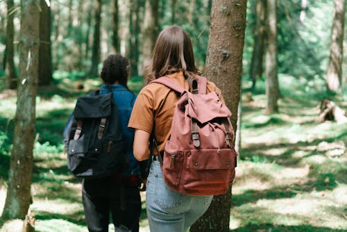 People Carrying Backpack Walking in the Forest