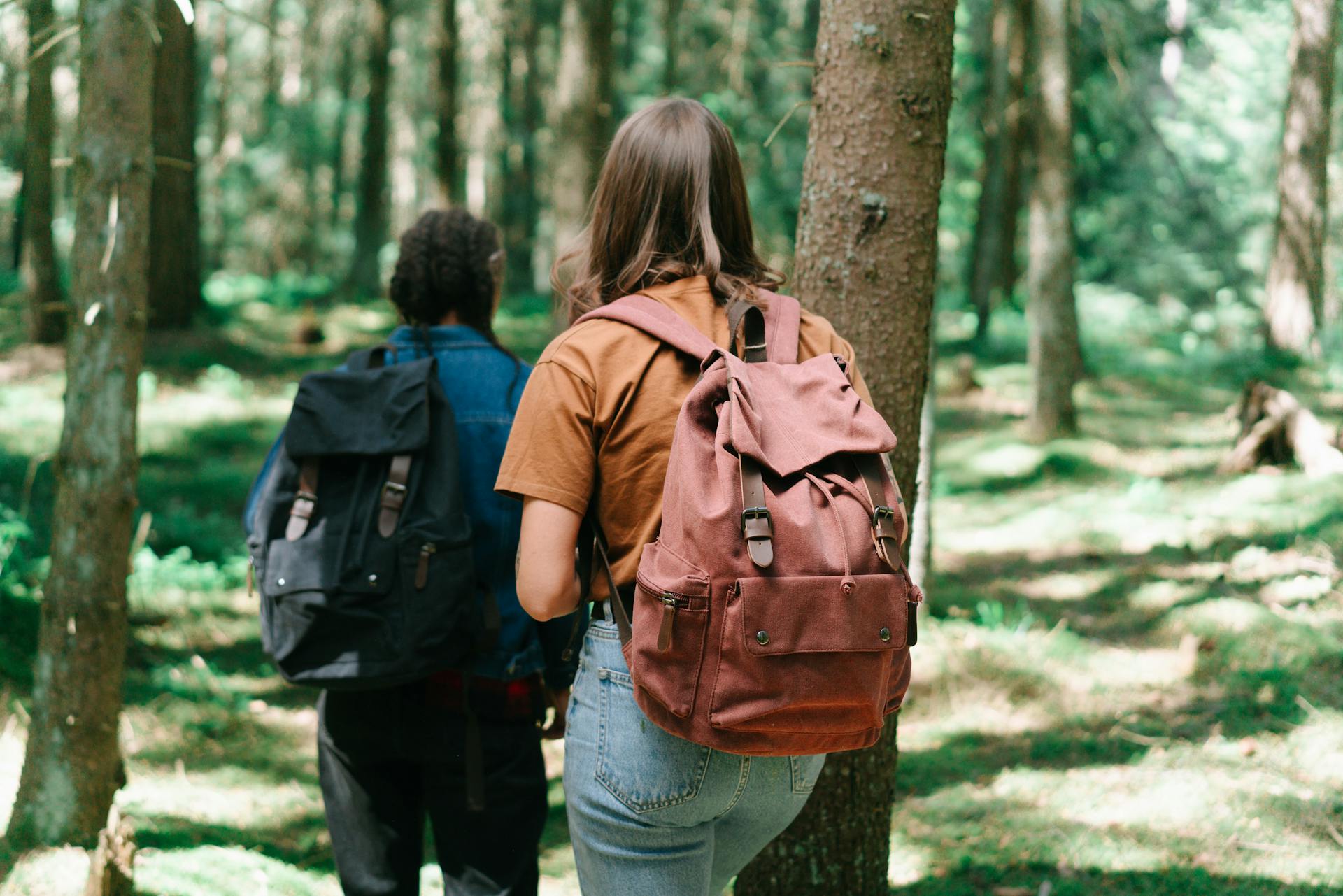 Two hikers with backpacks explore a dense forest path, surrounded by tall trees and greenery.