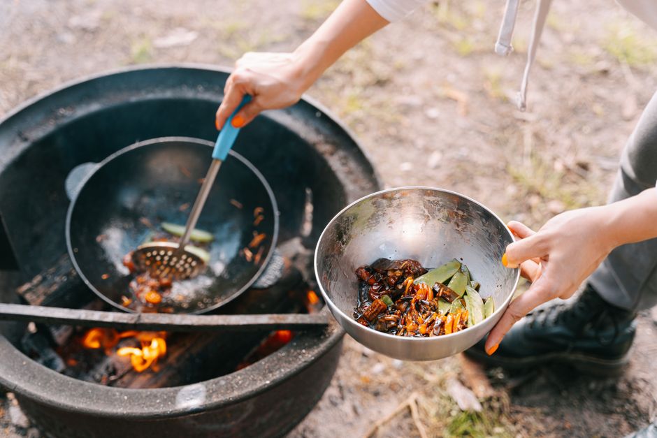 outdoor cooking fire bowl