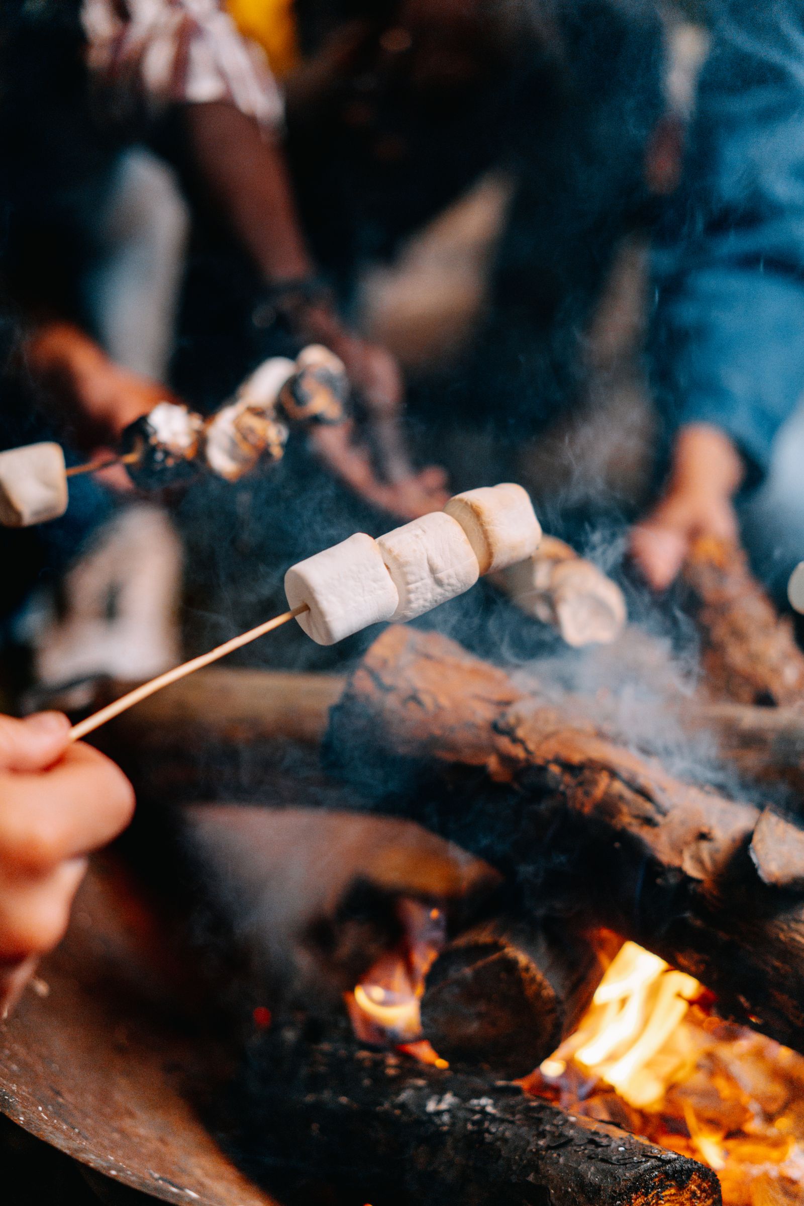 Bonfire Marshmallows 4K wallpaper