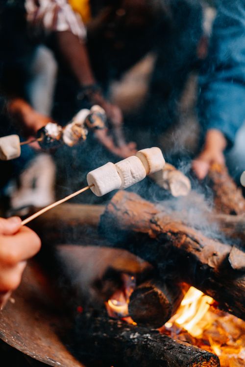Free People roasting marshmallows over a warm campfire in an outdoor setting. Stock Photo