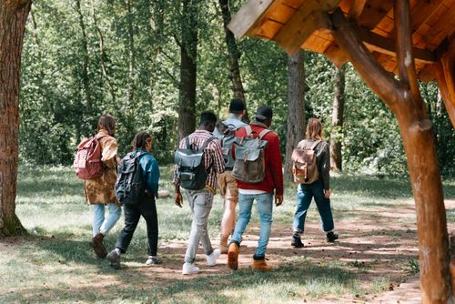 Free A diverse group of friends hiking together on a sunny day in the forest, capturing unity and adventure. Stock Photo