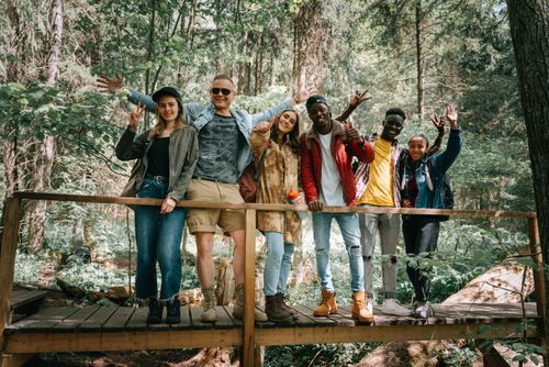 Free A diverse group of friends hiking and enjoying nature on a wooden bridge in a lush forest. Stock Photo