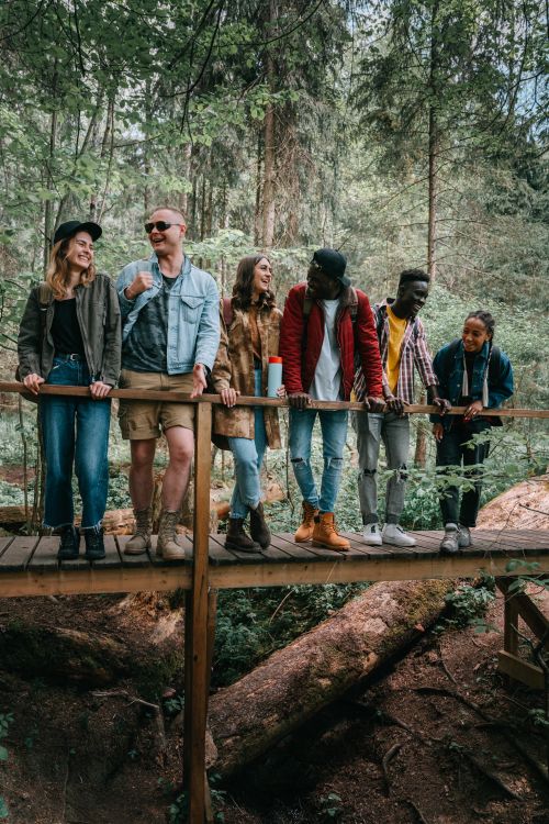 Free Six friends stand together on a wooden bridge in a forest, enjoying a day outdoors. Stock Photo