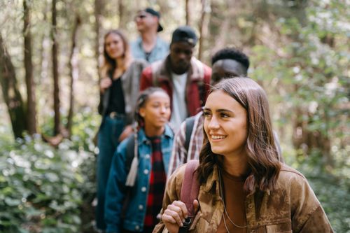 Free Five friends enjoying a hike through a lush, green forest on a sunny day. Stock Photo