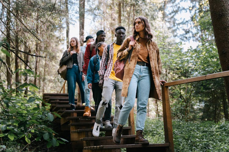 People Walking Down The Concrete Steps In The Forest While Looking Afar