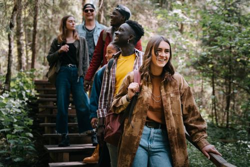 Free A diverse group of adults hiking together on a wooden path in a lush forest setting. Stock Photo