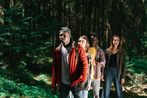 Free A group of friends exploring a lush forest on a sunny day, showcasing diversity and adventure. Stock Photo