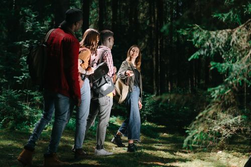 Free A group of diverse friends hiking through a lush forest, enjoying nature and camaraderie. Stock Photo