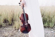 阳光明媚的巴生草地上，一名女子身着飘逸连衣裙，手持小提琴