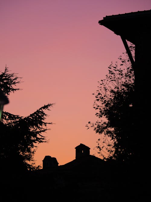 Gratis stockfoto met bomen, dageraad, omtrek Stockfoto