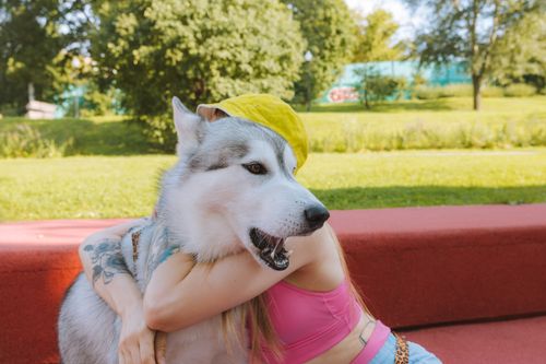 Free Joyful woman embraces Siberian Husky outdoors in a sunny park setting. Stock Photo