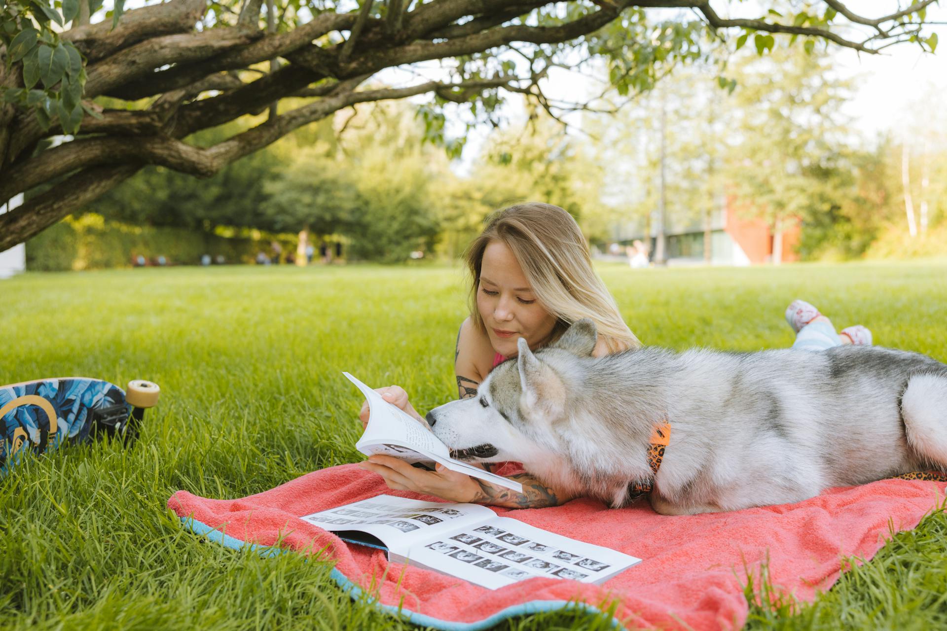 A Woman Reading a Book while Lying Down Beside White Siberian Husky Dog