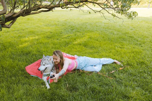 Blanket-Burrito Challenge Warms Up Pet Reel Space