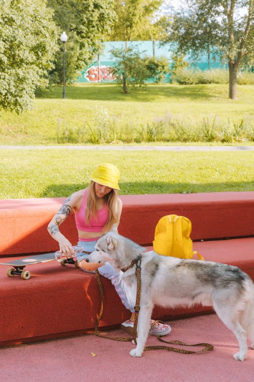 Free A woman sitting on a bench with her Siberian Husky and skateboard in a sunny park. Stock Photo