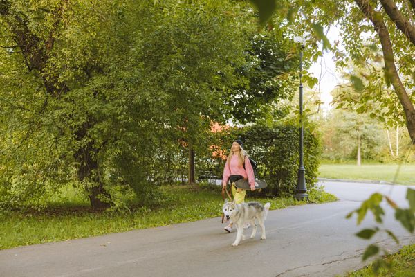 Pet Day Care Services in Eltham